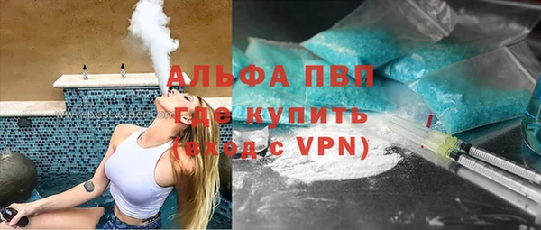 ПСИЛОЦИБИНОВЫЕ ГРИБЫ Весьегонск