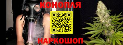 PSILOCYBIN Кандалакша