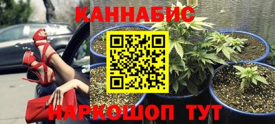 PSILOCYBIN Кандалакша