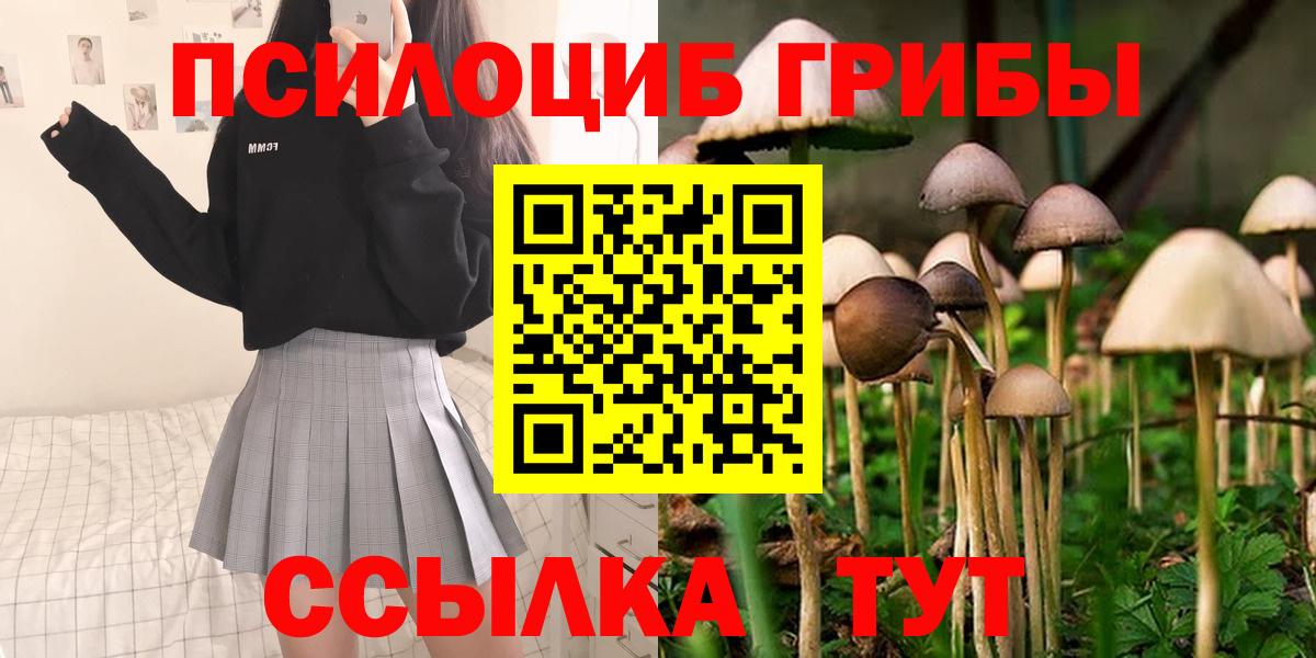 Псилоцибиновые грибы мицелий Зеленогорск